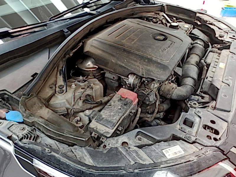 motore auto non lavato